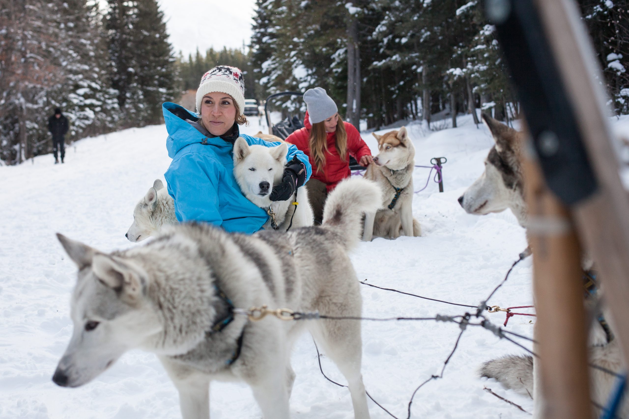 dog sledding