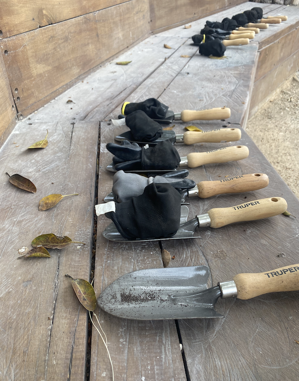a row of shovels sits on a wooden bench